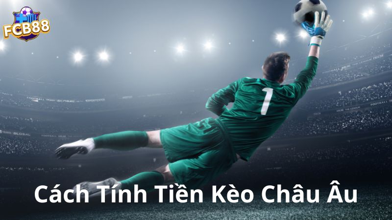 Hướng dẫn cách tính tiền châu âu cho người mới