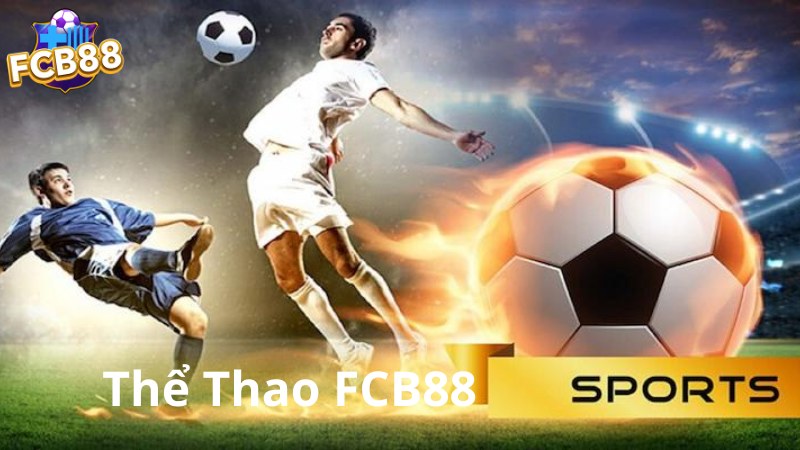 Giới thiệu tổng quan thể thao FCB88